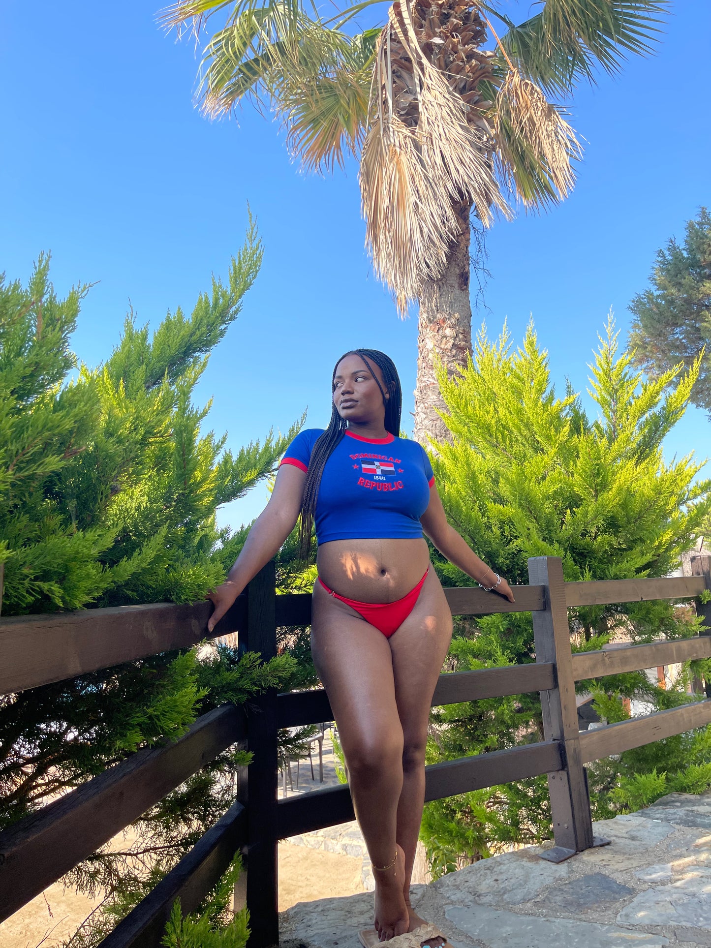 Dominican Republic Crop Top