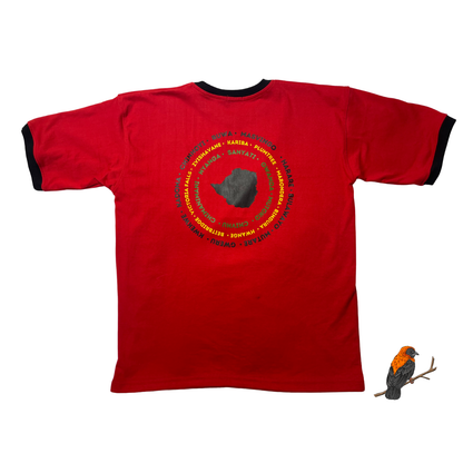 Zimbabwe Oversized T-shirt